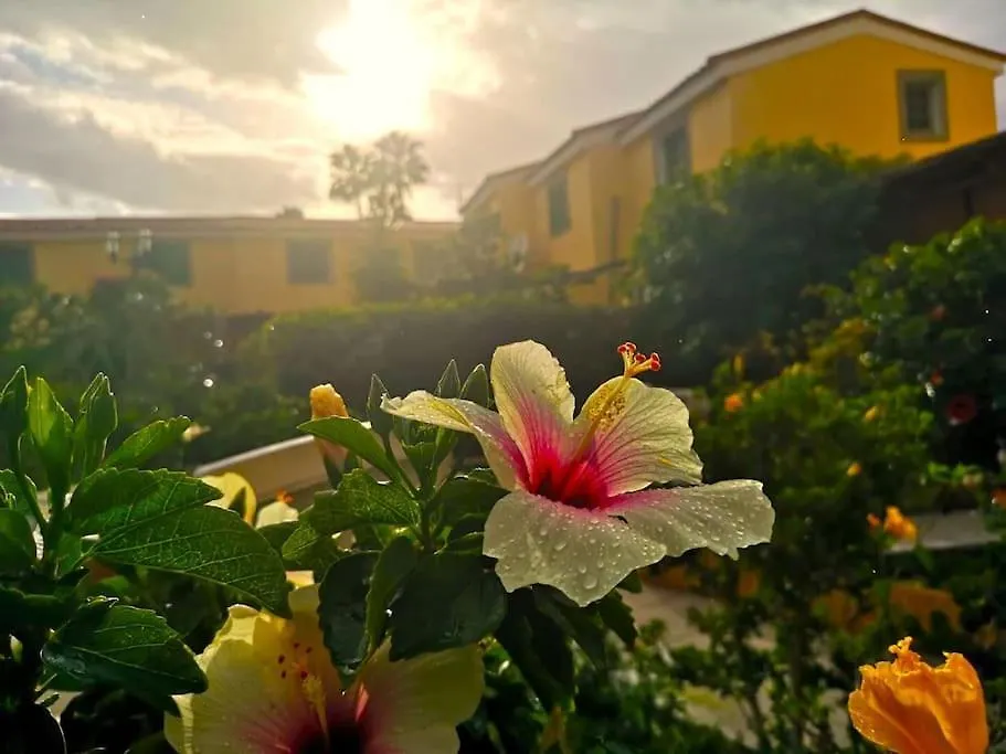 Bungalow Los Parrales 17 Maspalomas  Spain
